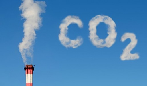 Da Mundial por la Reduccin de las Emisiones de CO2