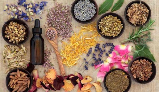 Plantas medicinales para la menopausia