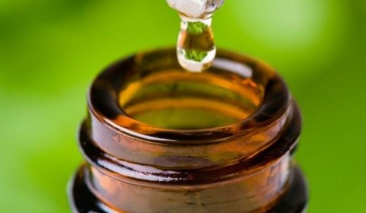 Belleza: Cmo usar el aceite de rbol de t para el acn