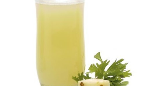 Concentrado de nopal