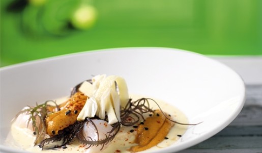 Cebiche de erizos y conchas