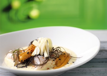 Cebiche de erizos y conchas