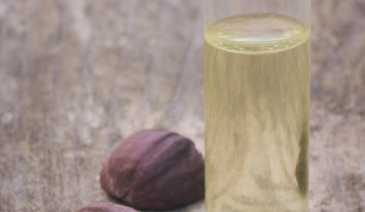 Cómo hacer aceite de jojoba