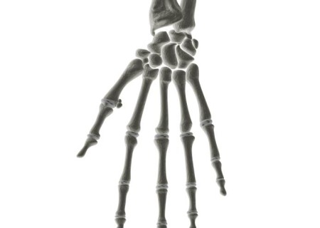 Cómo se llaman los huesos de la mano