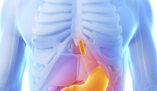 Cómo combatir el reflujo con plantas medicinales