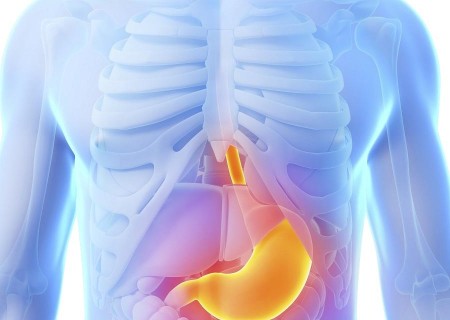 Cómo combatir el reflujo con plantas medicinales