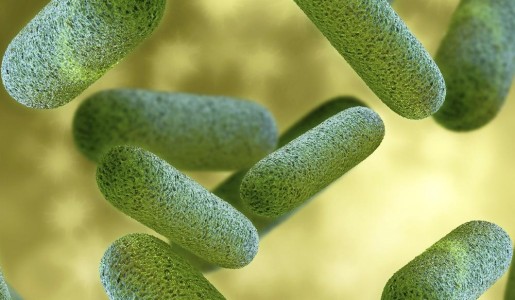 Cuáles son los síntomas de una infección intestinal