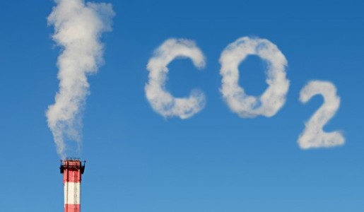 Día Mundial por la Reducción de las Emisiones de CO2