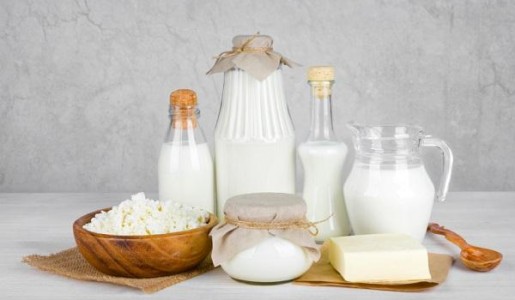 Alimentos que contienen lactosa