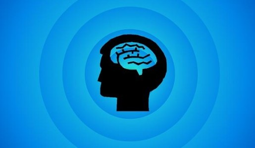 Cómo ser inteligente