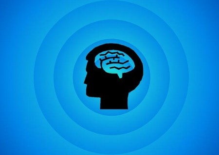 Cómo ser inteligente