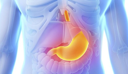 Cómo mejorar la digestión lenta