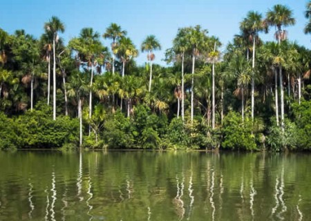 Día de la Reserva Nacional de Tambopata-Candamo