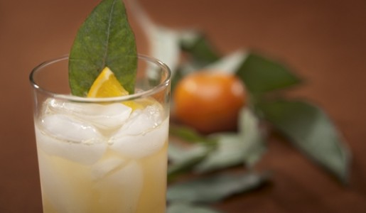 Chilcano de eucalipto y mandarina del Mayta