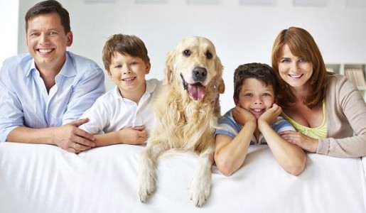 Cuáles son los perros más cariñosos