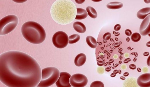 Cómo subir las plaquetas