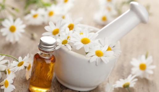 Plantas medicinales para el dolor de estómago