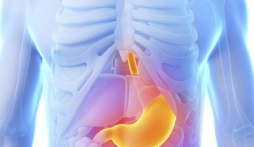 Cómo cuidar el estómago