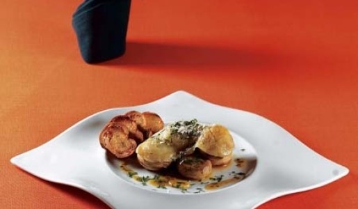 Galopera de champiñones