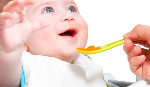 Qué puede comer un bebé de 6 meses