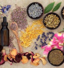 Plantas medicinales para la menopausia