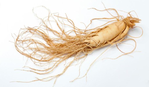 Contraindicaciones del ginseng