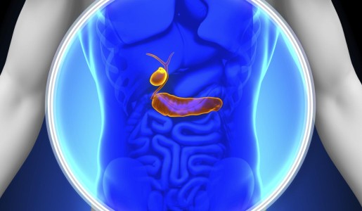 Cuál es la función del páncreas