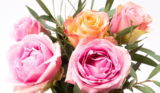 Cómo hacer que un ramo de rosas dure más tiempo