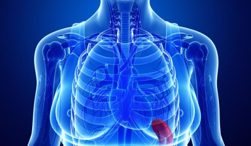 Para qué sirve el bazo