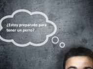 Animales: Razones para no tener un perro ¿estás preparado?