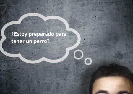 Animales: Razones para no tener un perro ¿estás preparado?