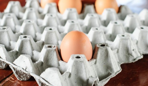 Cómo reutilizar hueveras