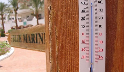 Cómo combatir el calor