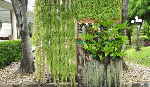 Cuáles son las mejores plantas para un jardín vertical