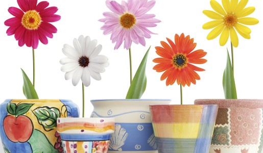 Cómo decorar macetas