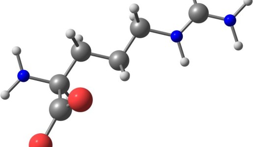 Para qué sirven los aminoácidos