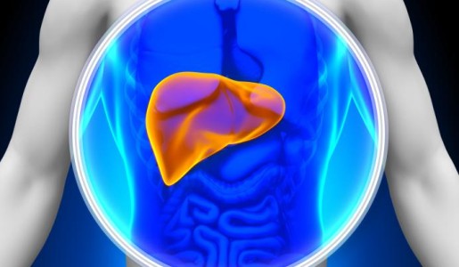 Cómo bajar las transaminasas