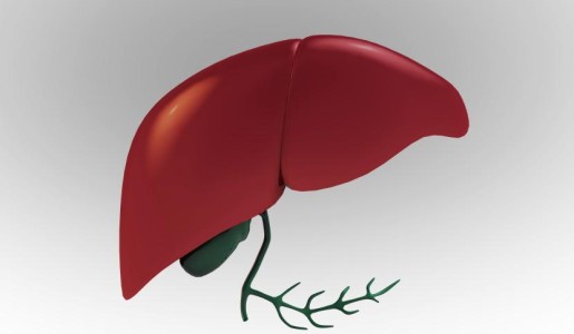 Cómo proteger el hígado