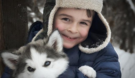 Cómo hacer que mi madre me compre un perro