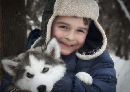 Cómo hacer que mi madre me compre un perro