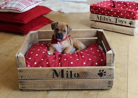 Cómo hacer camas para mascotas