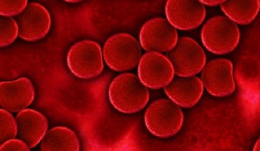 ¿Se puede curar la leucemia?