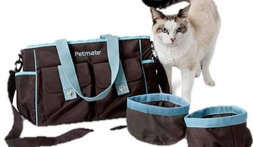 ¿Cómo ir de viaje con nuestra mascota?