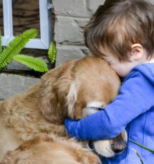 Animales: Por qu los perros se ponen tan contentos cuando vuelves a casa