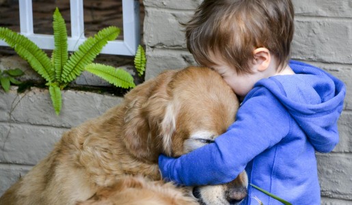 Animales: Por qu los perros se ponen tan contentos cuando vuelves a casa