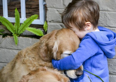 Animales: Por qué los perros se ponen tan contentos cuando vuelves a casa
