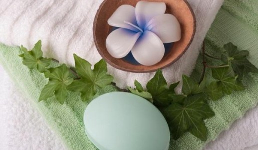 Cuáles son las mejores plantas para el baño