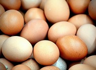 Ideas para reciclar cscaras de huevo