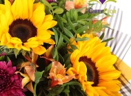 Cuidado de tu ramo de girasles - Tips Giftyflor