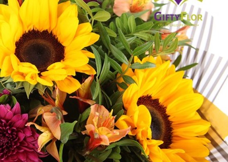 Cuidado de tu ramo de girasles - Tips Giftyflor